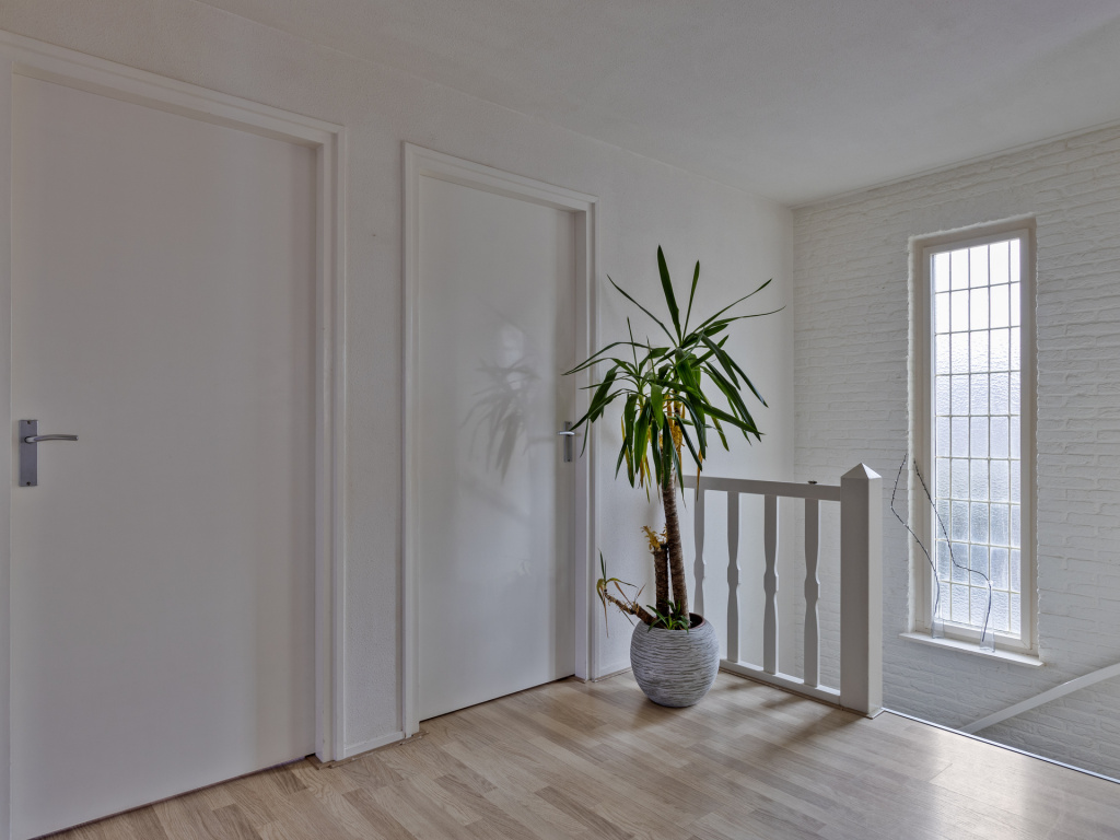 Olmenstraat 30