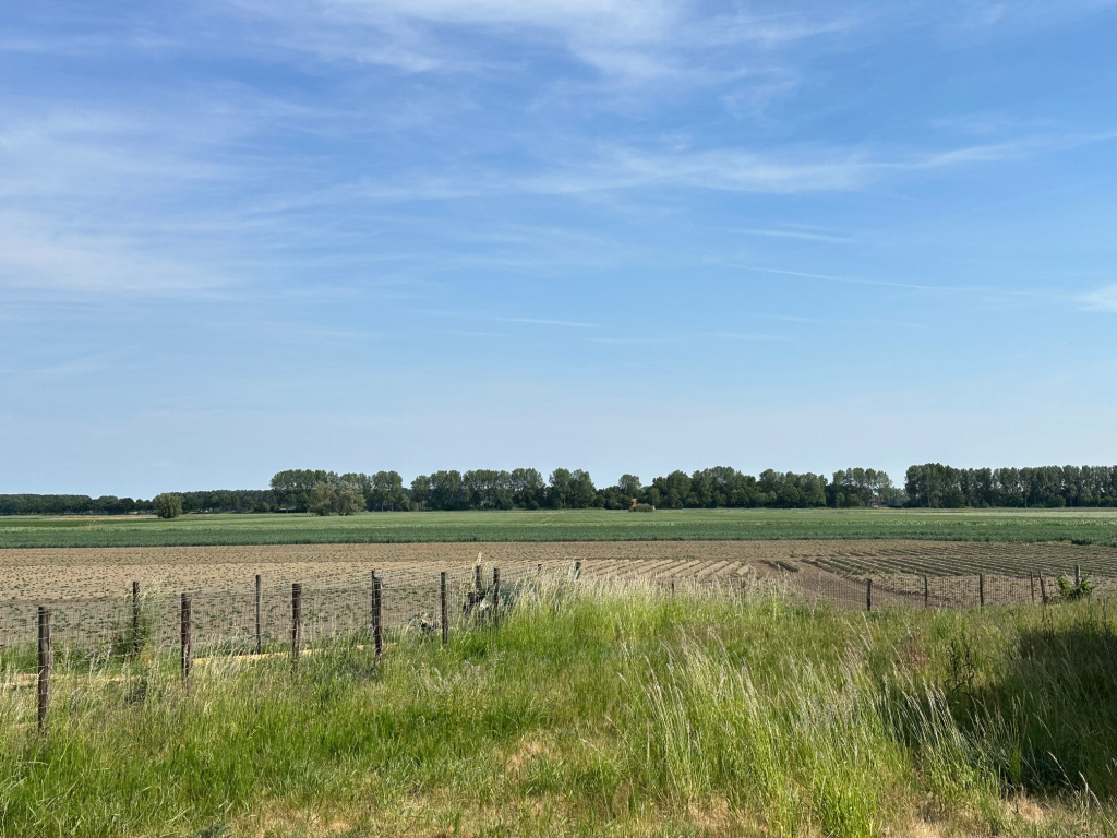 Hoofdweg Zuid 51